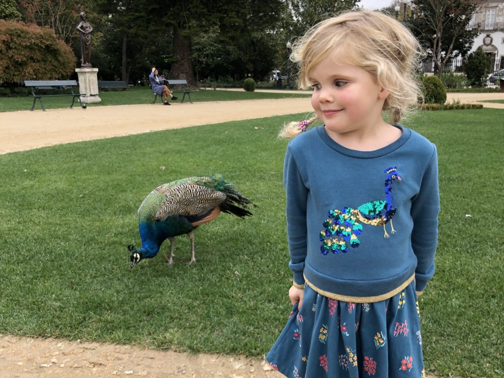 Child stood next to peacock
