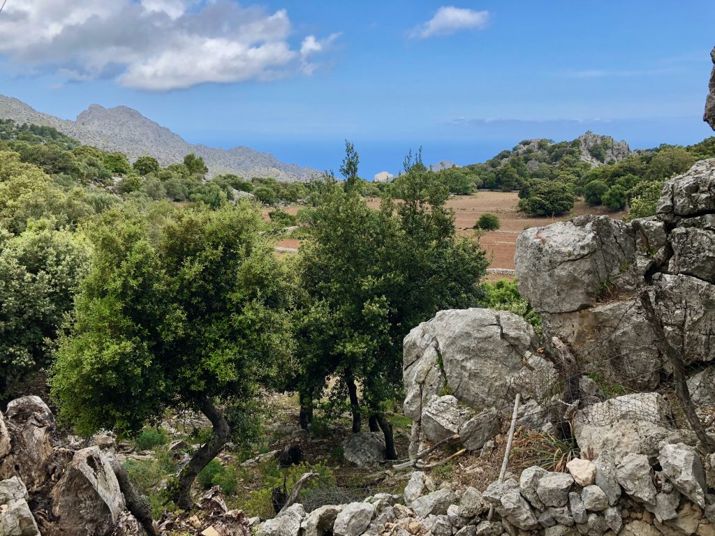 Views of the Serra de Tramuntana, taken on the drive from Pollença to Soller.