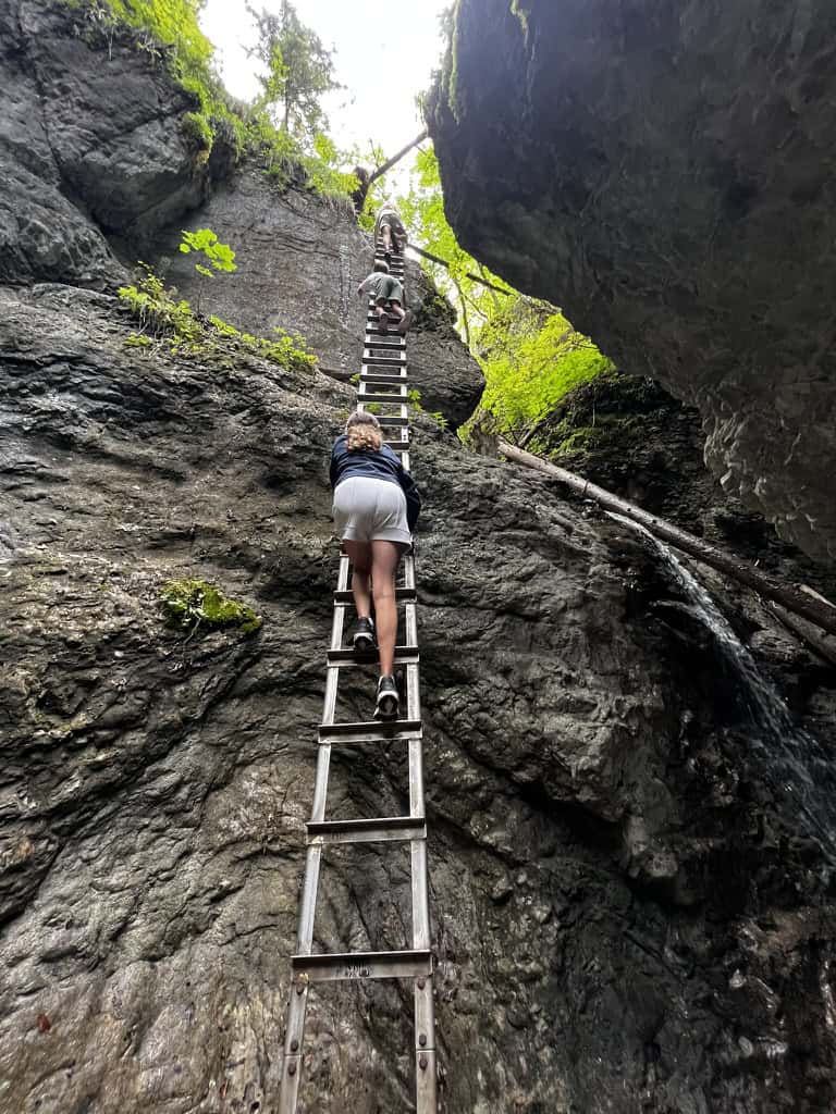 The children climbing one of the tallest ladders in the Sucha Bela trail.