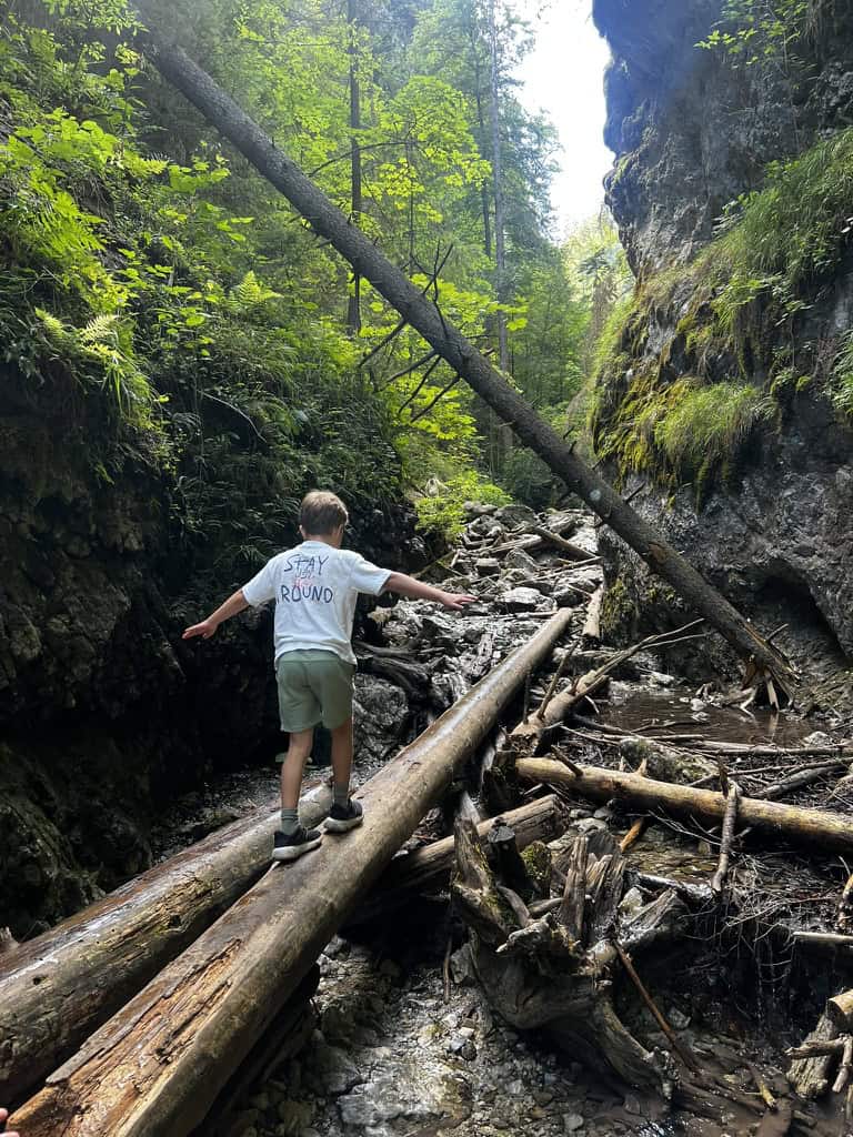 12D19704 5E23 421A 8A74 C52C1979B993 1 105 c