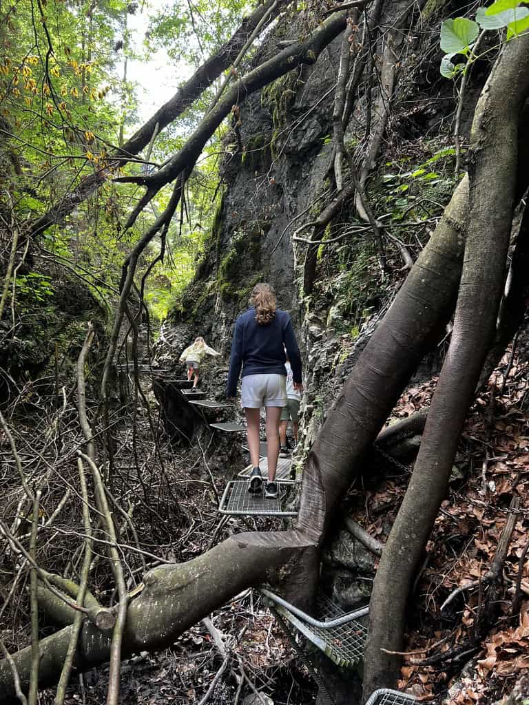 9A2B2088 106F 4744 9D8A A34B6F5BE065 1 105 c