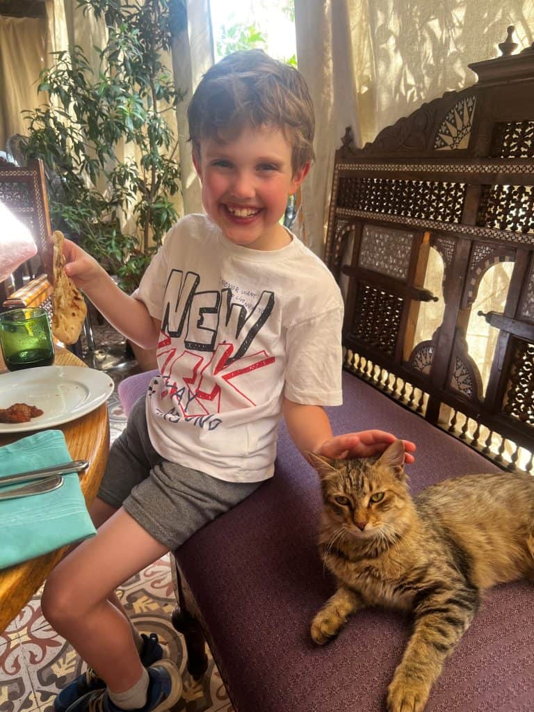 Benjamin, sitting on a highly deocrated bench joined by a kitten in Sofra Restaurant, Luxor. In the background are plants and curtains to block out the hot Egyptian sun.
