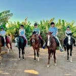 Family on horse back on a dirt track through a banana plantation in Luxor, Egypt.