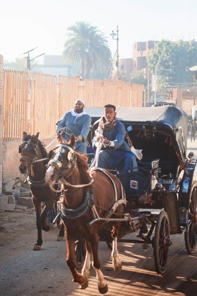 A traditional horse-drawn carriage on a sunny street in Luxor, Egypt.