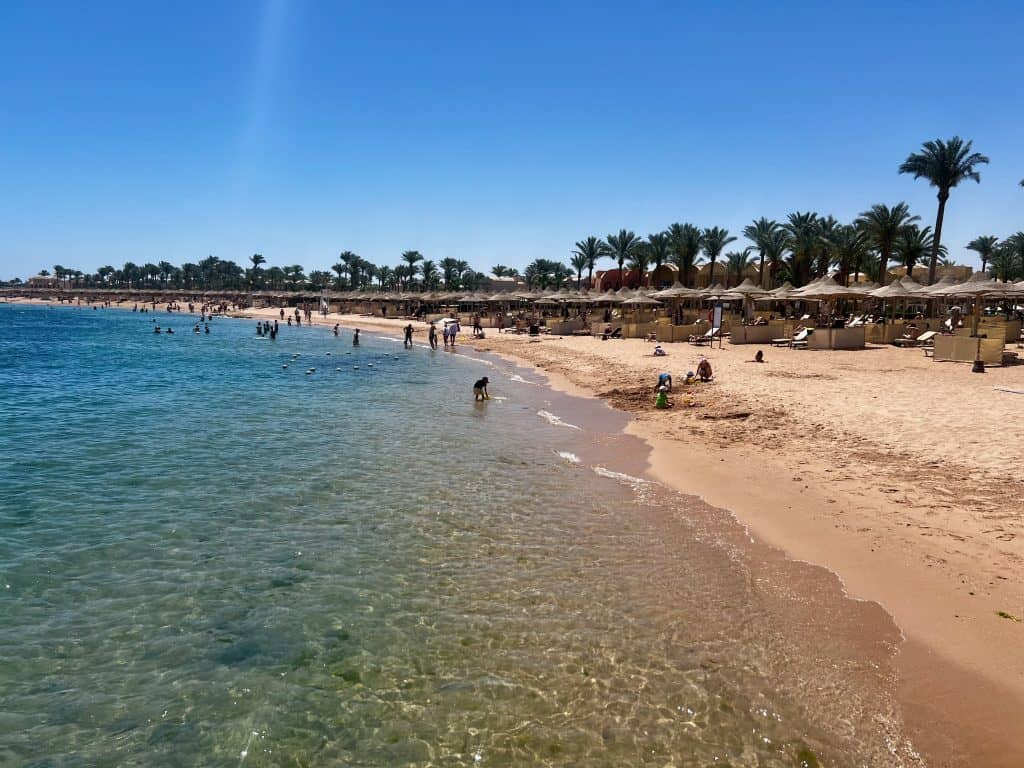 Makadi bay beach, on the beach people can be seen in the water and the beack is lined with sun loungers and straw parasols, with palm trees visible in the background.